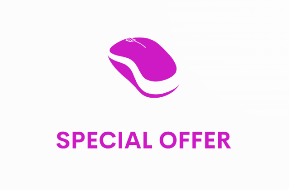 5 Website Bundles